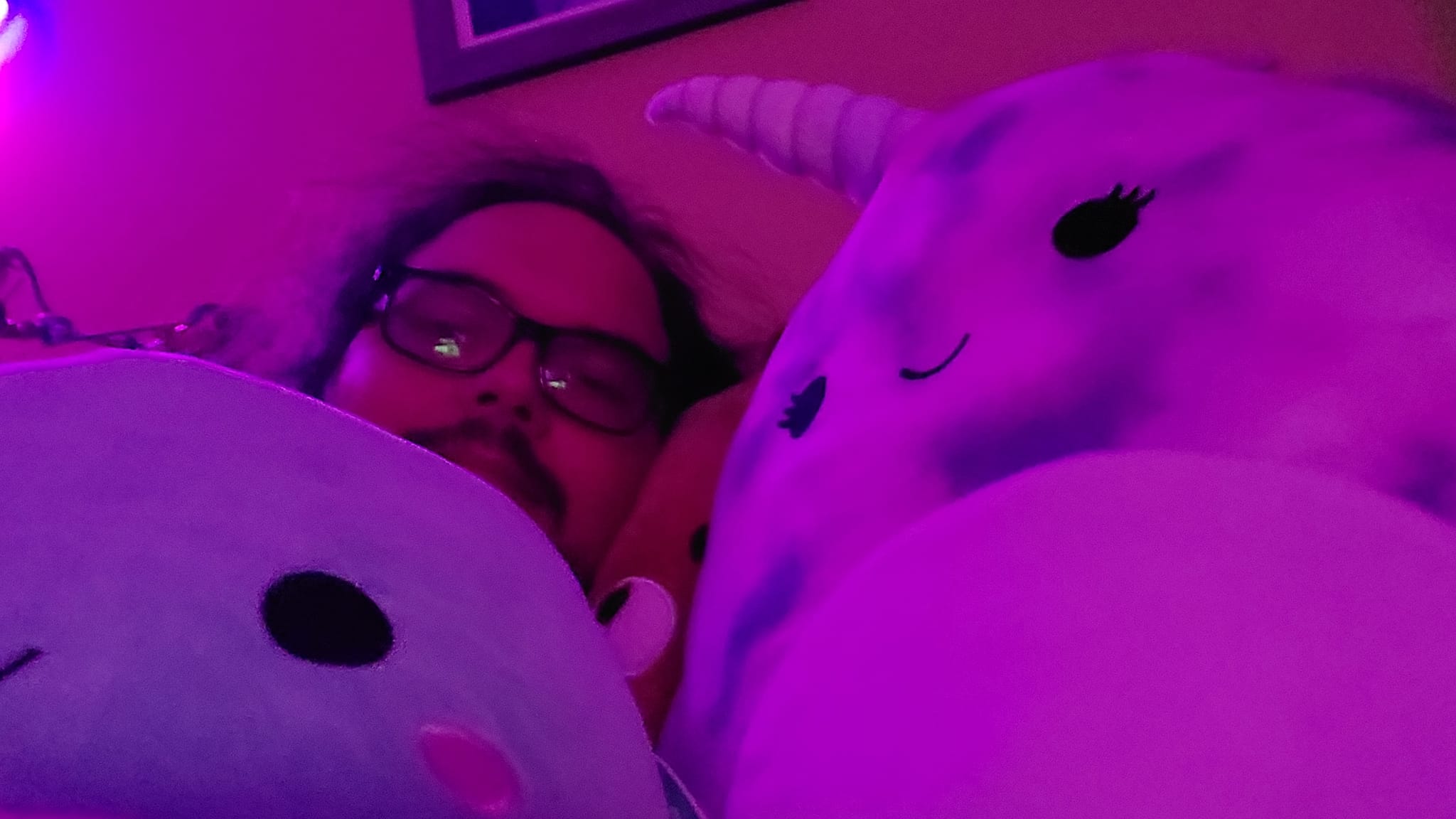 A man with long dark hair lays in bed with a narwhal Squishmellow, photo 1